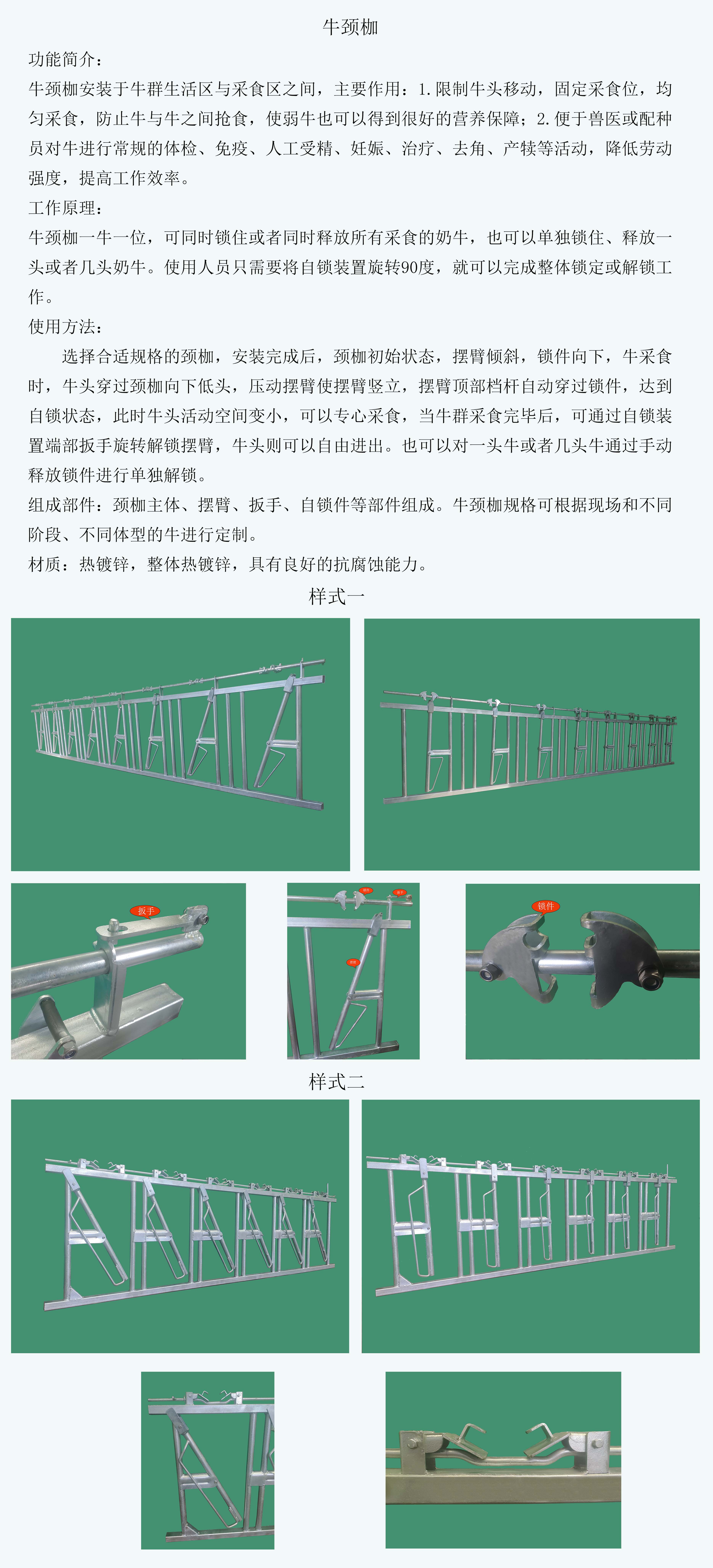 牛頸枷2.2 拷貝.jpg